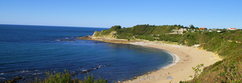 Plage-lafitenia